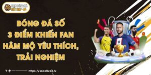 Bóng Đá Số - 3 Điểm Khiến Fan Hâm Mộ Yêu Thích, Trải Nghiệm